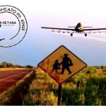 Senasa: Cuidando al yuyito