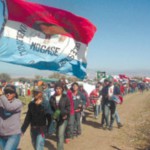 Volvieron a matar