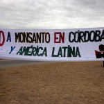 Demandan al estado nacional por el uso de agroquímicos pero Monsanto no se detiene