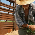 Trabajo rural: Agreden a periodista que investiga el asesinato del peón Solano