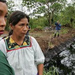 Gils Carbó, el Caso «Chevron», Justicia Legítima y las «Corpo»