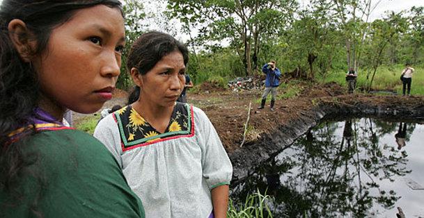 Los daños ambientales en la Amazonía de Ecuador son irreparables