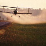 Vivir entre agroquímicos, morir como moscas